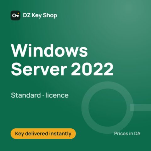 Windows Server 2022 Standard – licence key