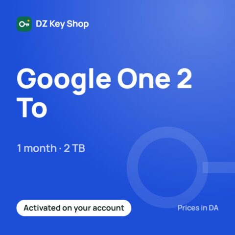 Google One 2 TB – 1 month